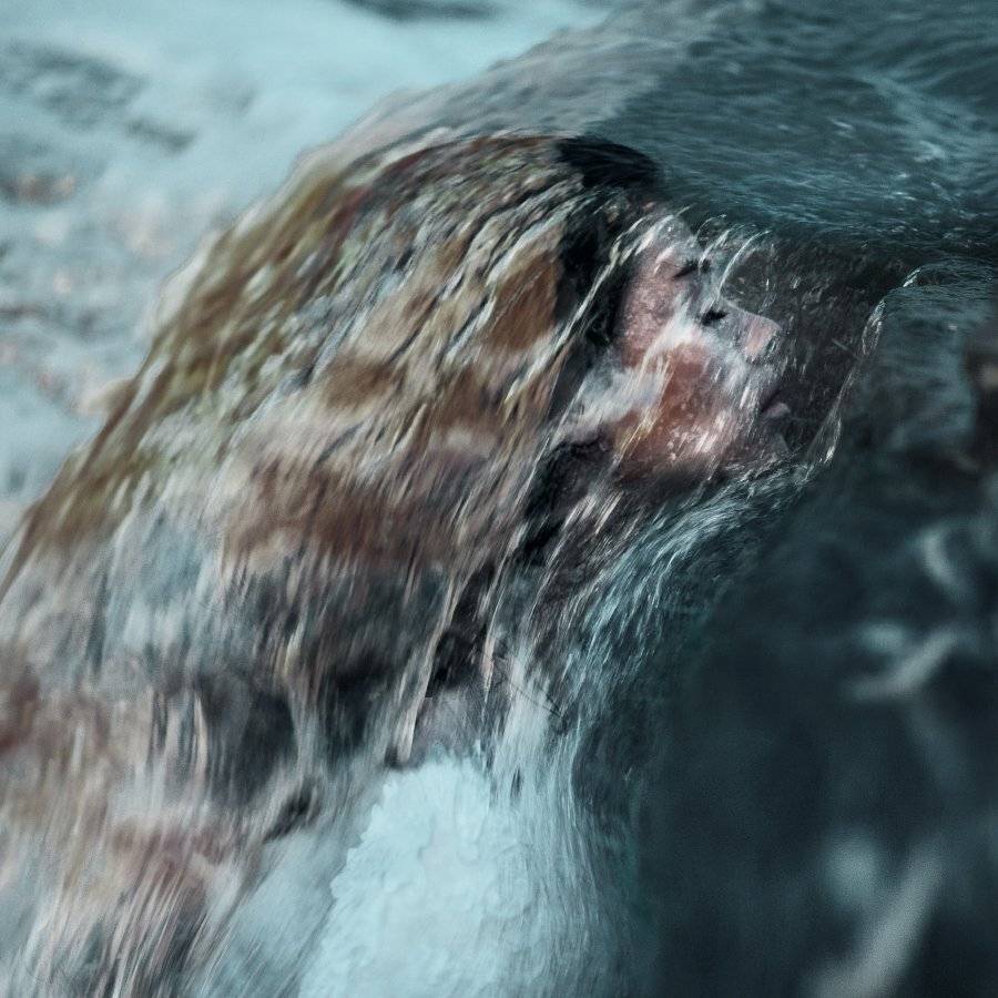 , Сакрюкин Кирилл