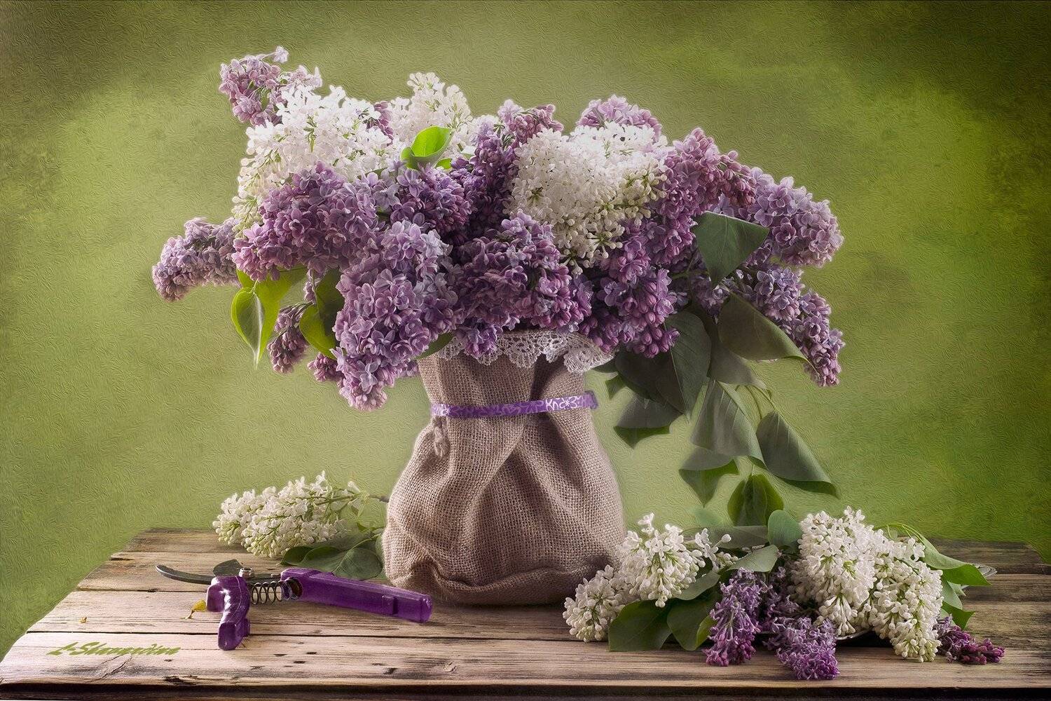 , Елизавета Шавардина