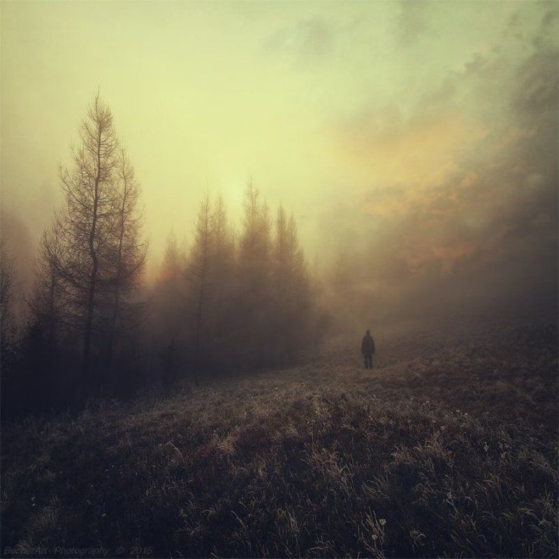 Location:Silence (Part.VI.) фото превью