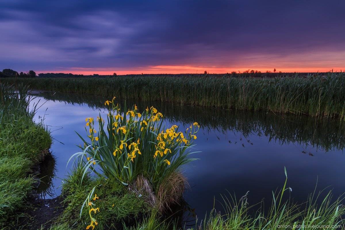 Барышевка, Рассвет, Река, Антон Петрусь