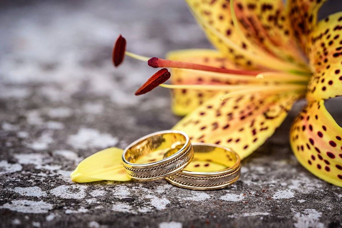 свадебная прогулка, свадьба, жених, невеста, любовь, love story, кольца, mdmmikle, Латвия, Рига, Михаил Маслов