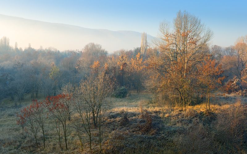 Morning Light фото превью