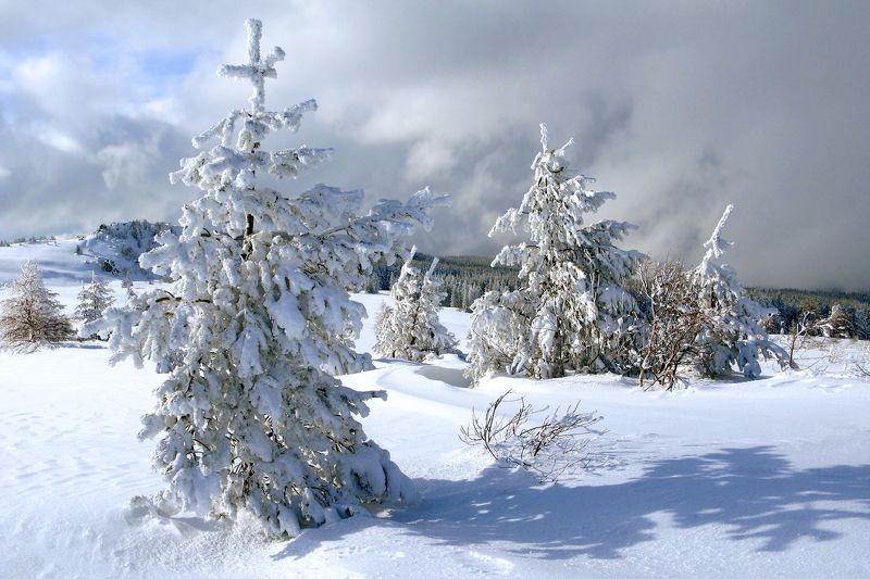On the Plateau фото превью