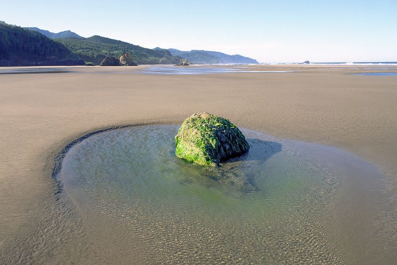 Tidal Pool фото превью