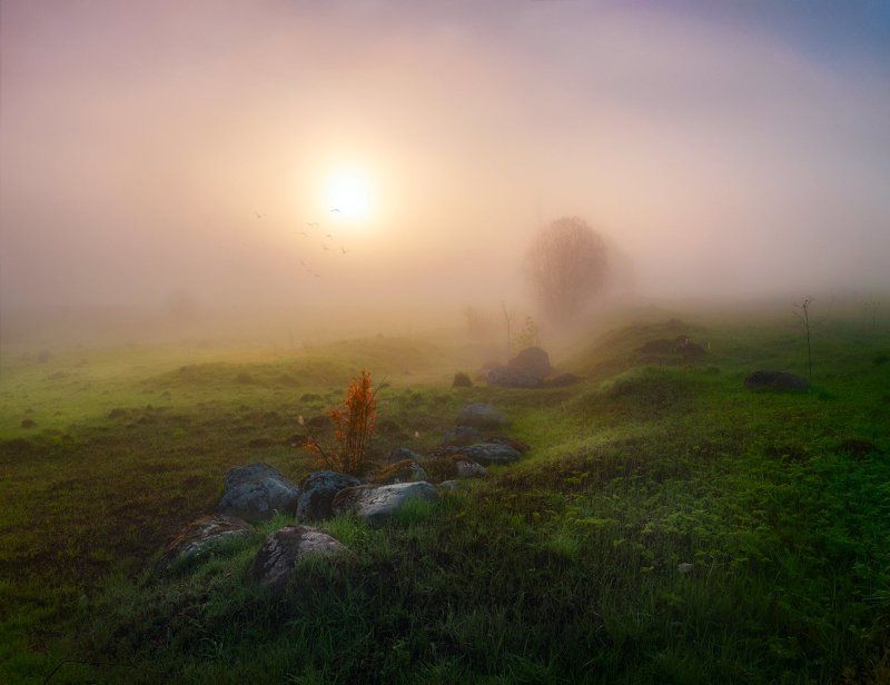 Пробуждение фото превью