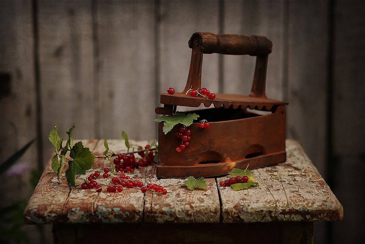 Натюрморт, Смородина, Табурет, Утюг, Инна Сухова