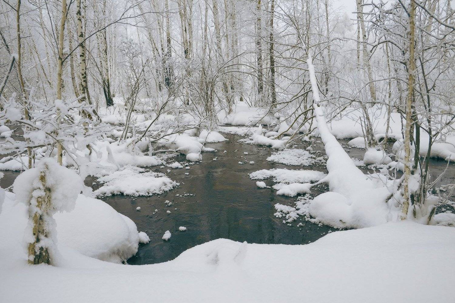 , Николай Морский