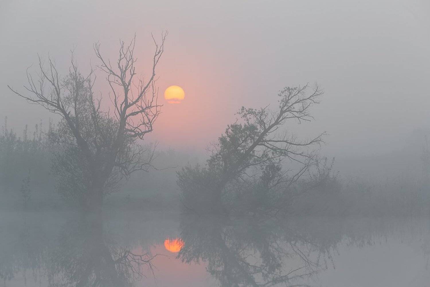, Юрий Сорокин
