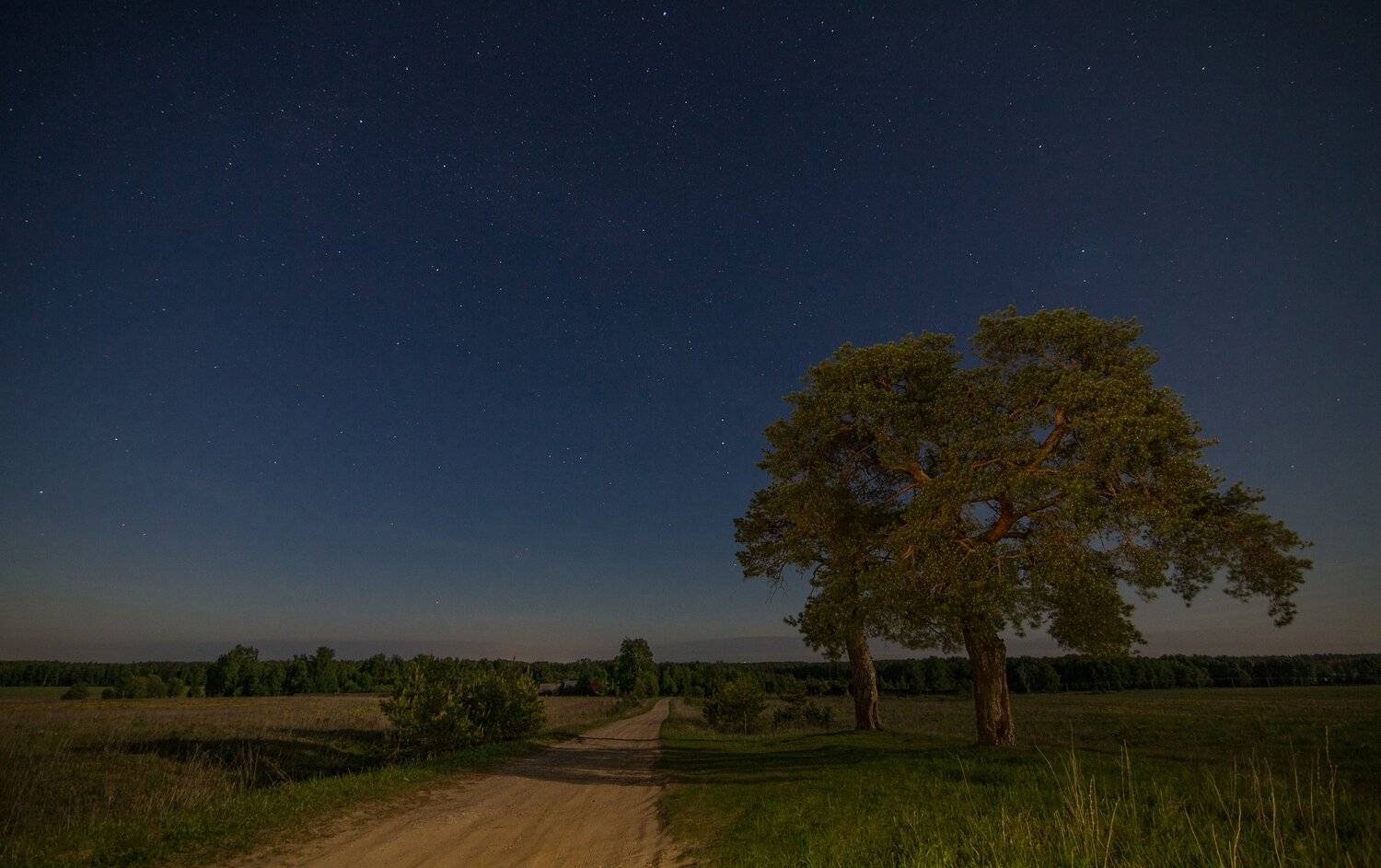 , Воробьёв Евгений