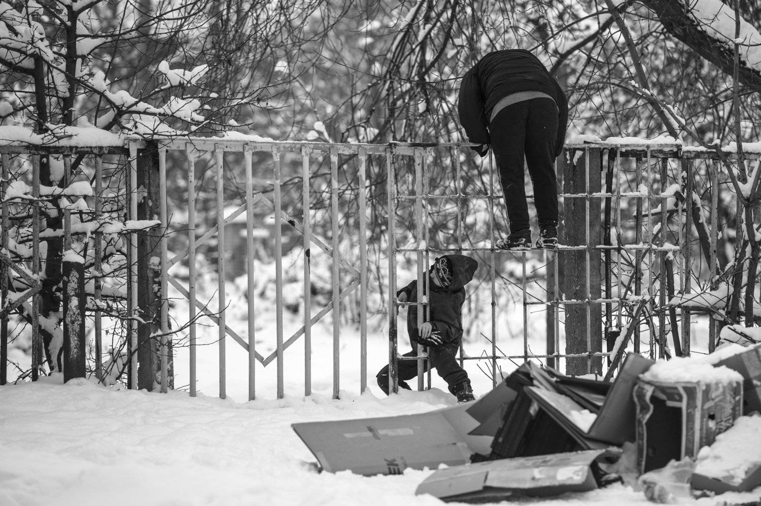 , Лаврентьев Роман