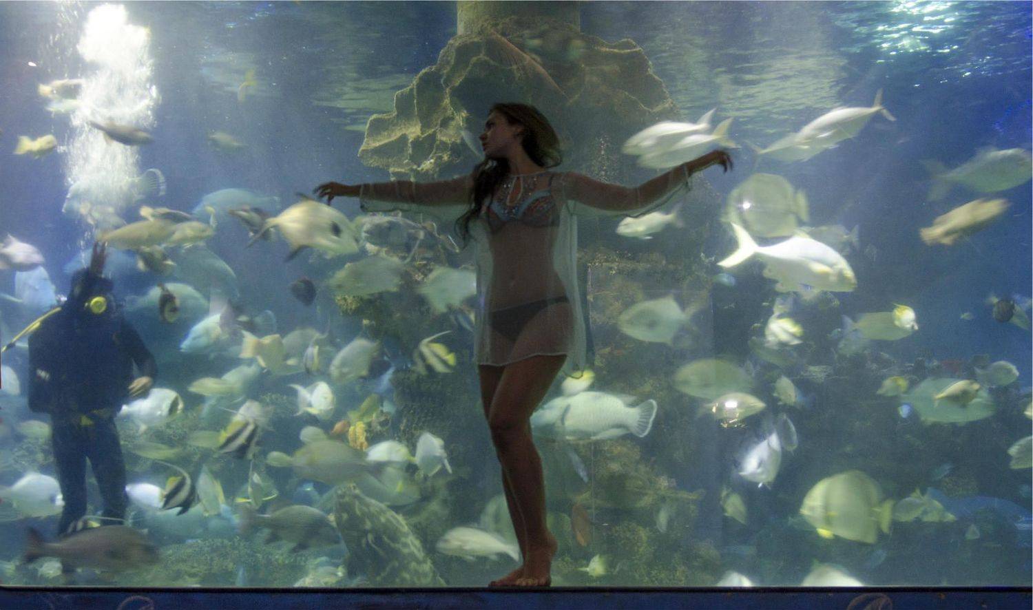 , Марина Мудрова