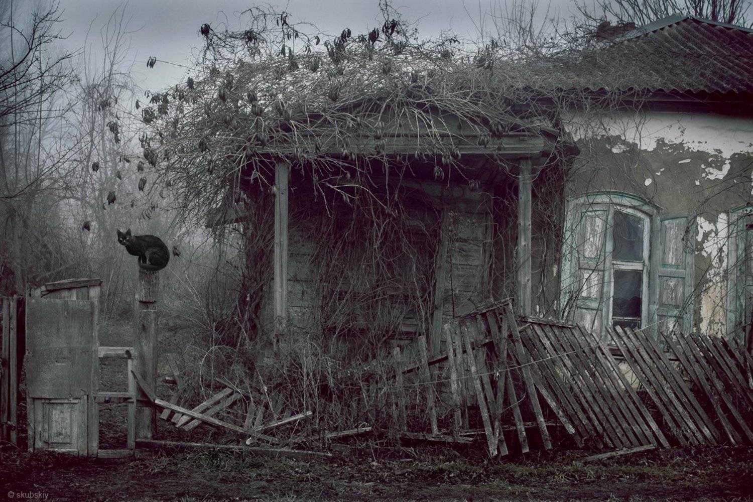 , Скубский Алексей