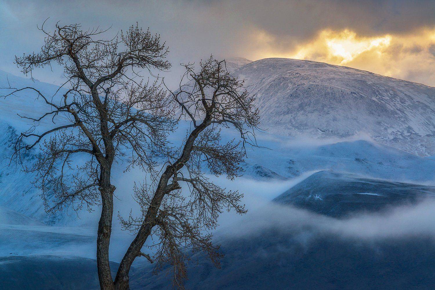 altai, fog, kurai, siberia, алтай, курайский хребет, сибирь, туман, Павел Филатов