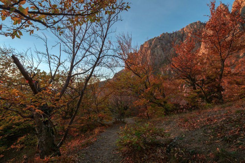 Тропой. фото превью