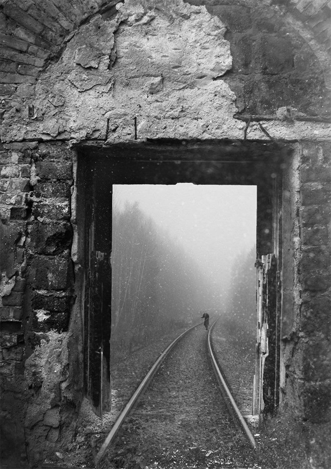 , Виктор Поздняк