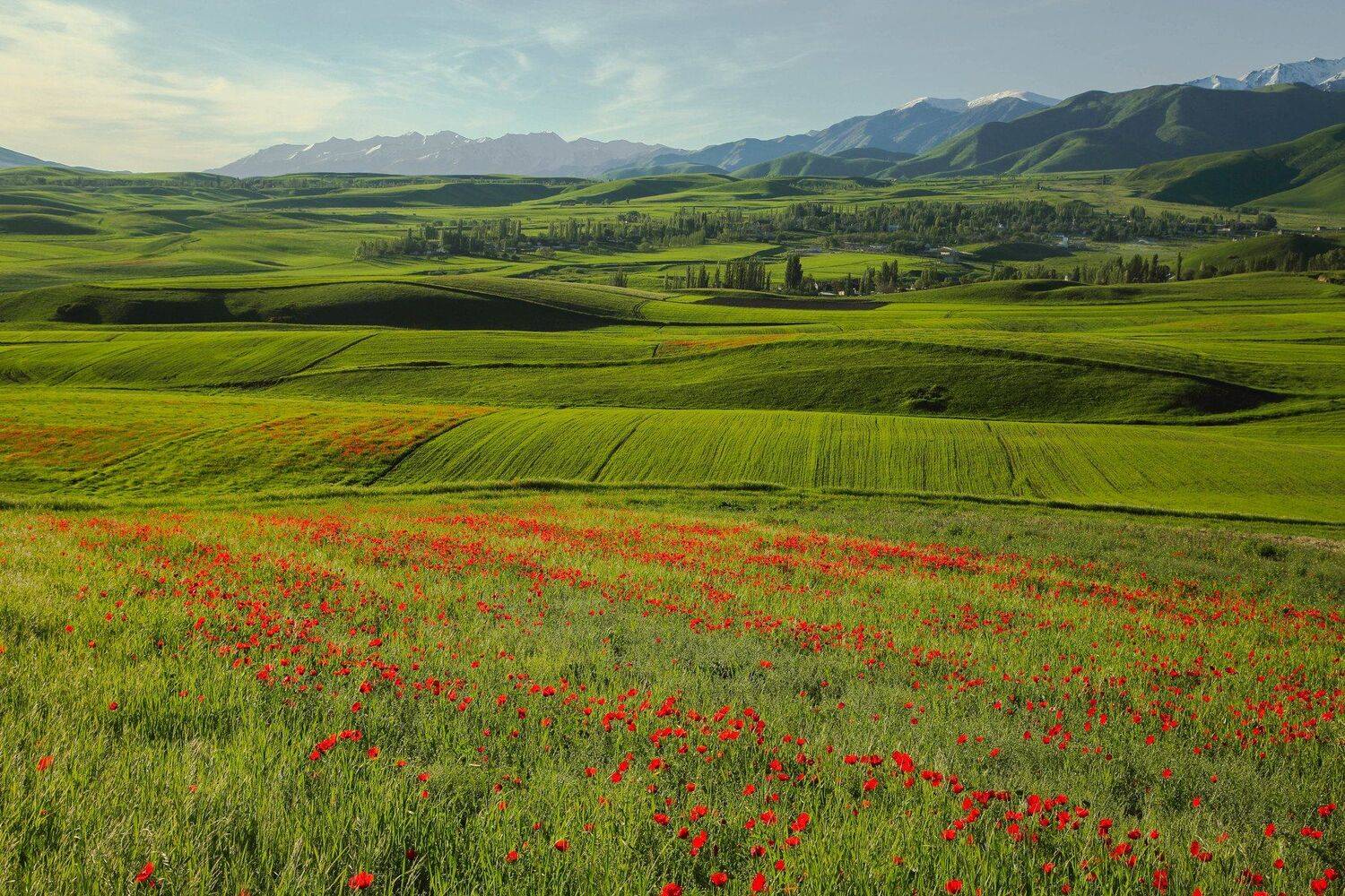 , Jora(Jungkuk, Cho)