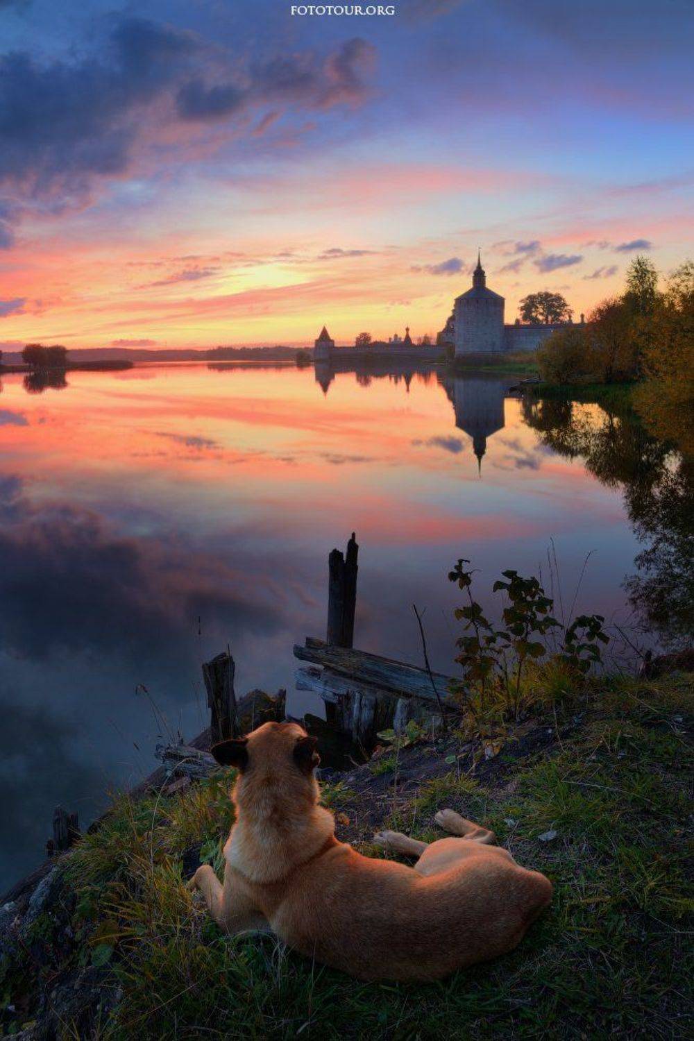 , Анатолий Гордиенко