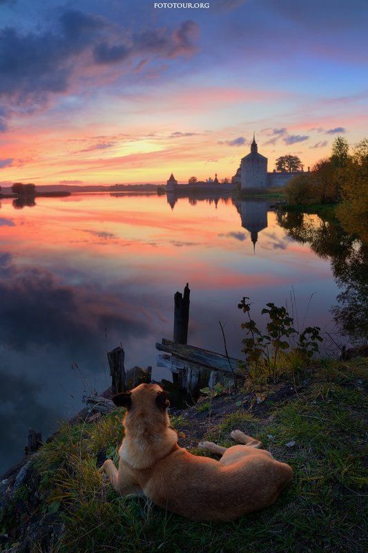 Созерцая закат фото превью