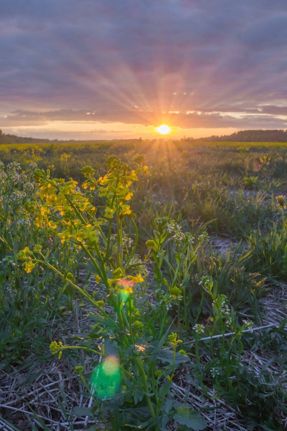 Закат, Карелия, хдр, Михаил Проскалов