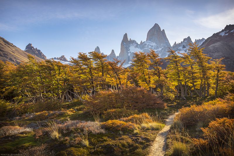 тропинка фото превью