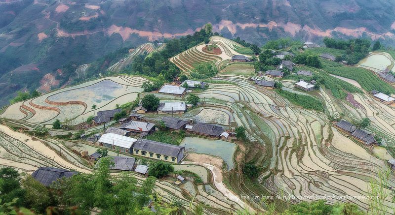 nice Ban Phung фото превью