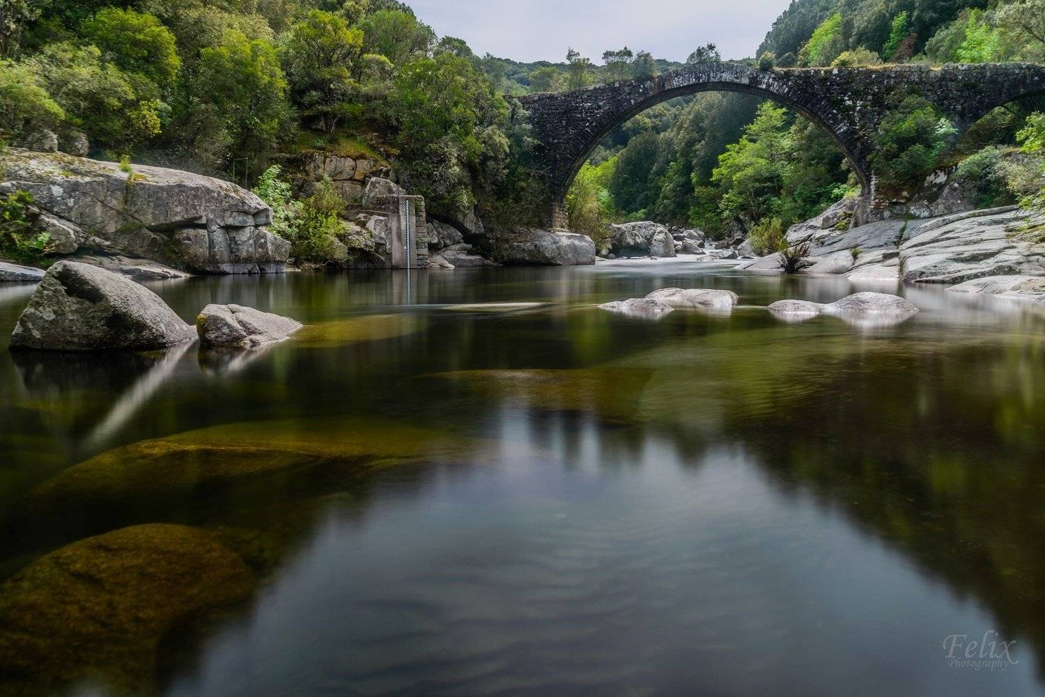 Bridge river forest , Felix Ostapenko