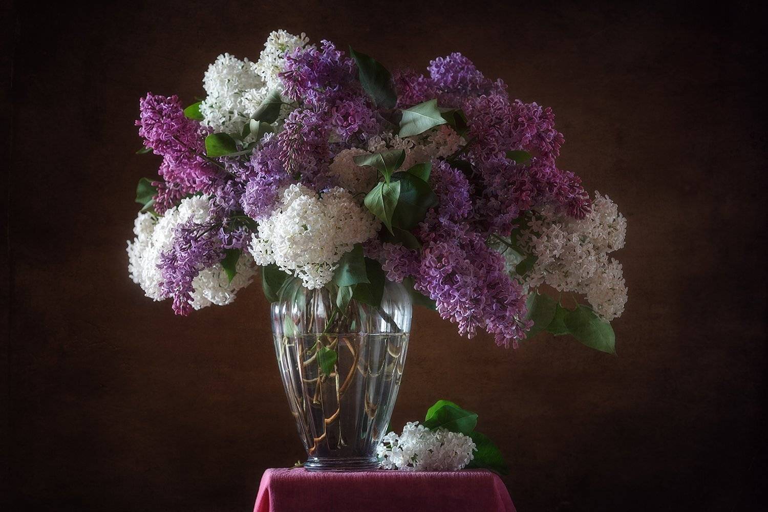 , Ирина Пажаева