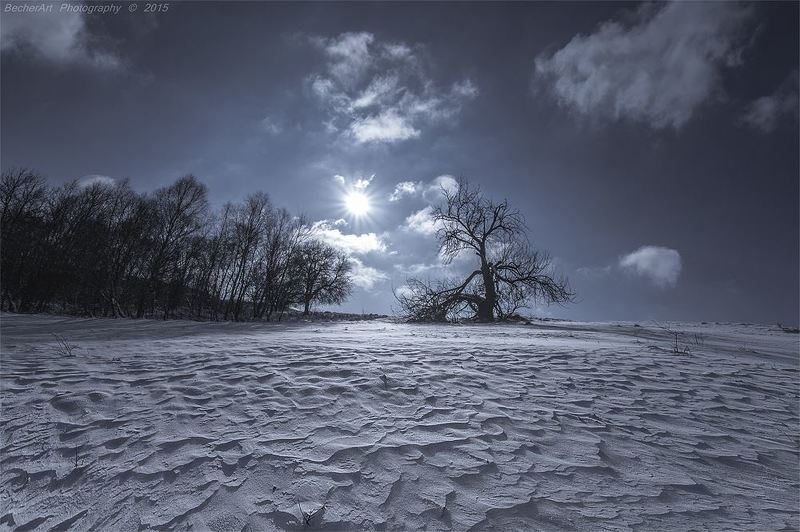 Dialogue XI фото превью