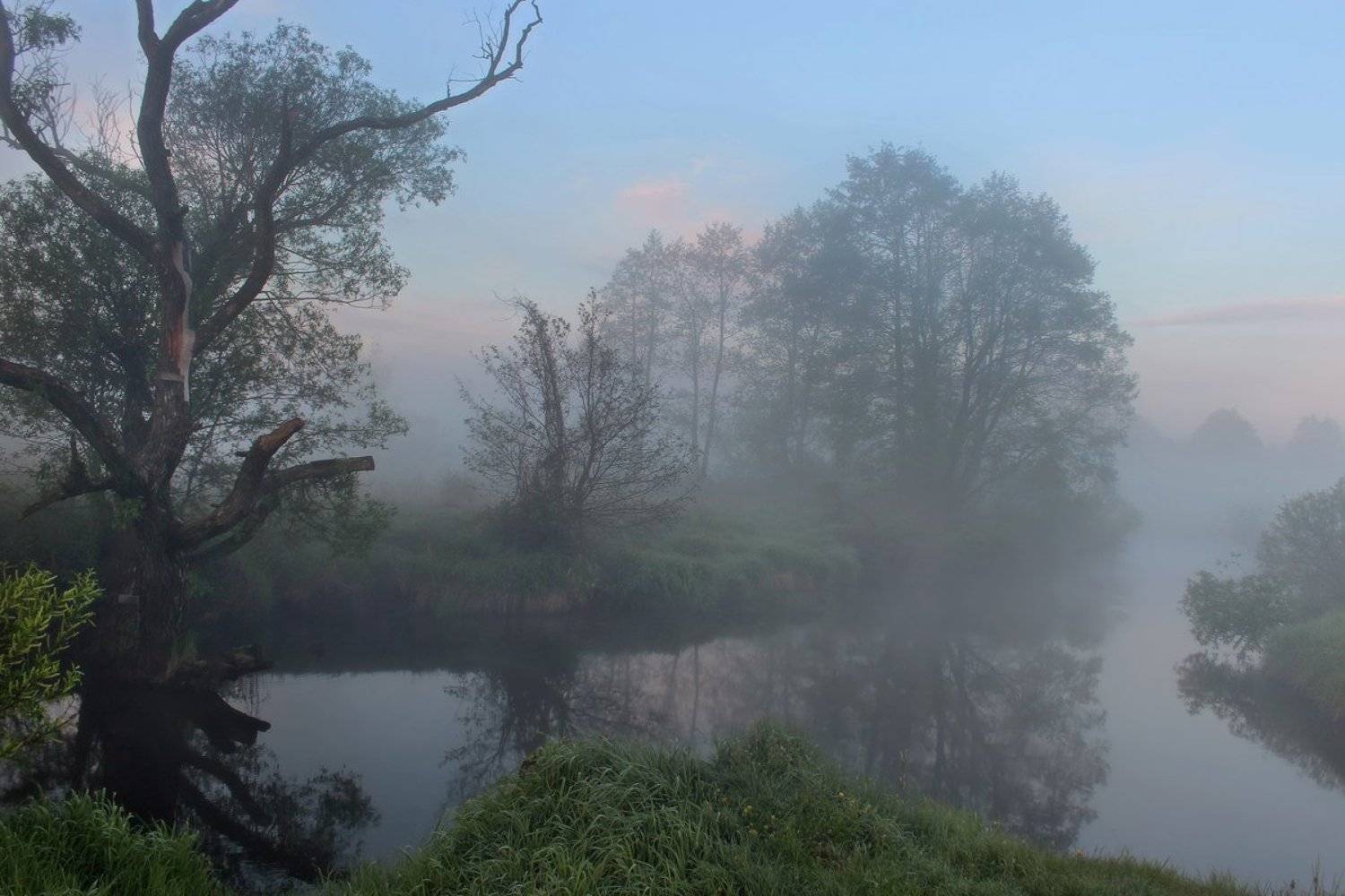 , Игорь Денисов