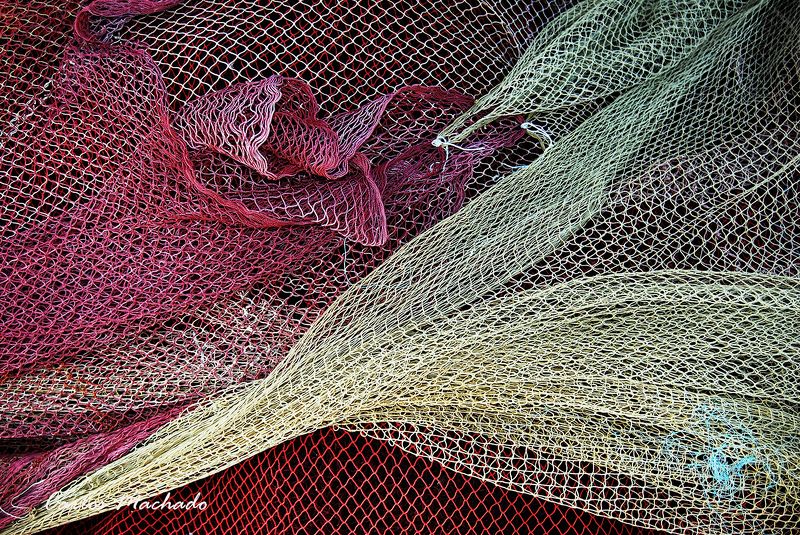 Macro, Travel, Other, Reportage, Still life,  фото превью