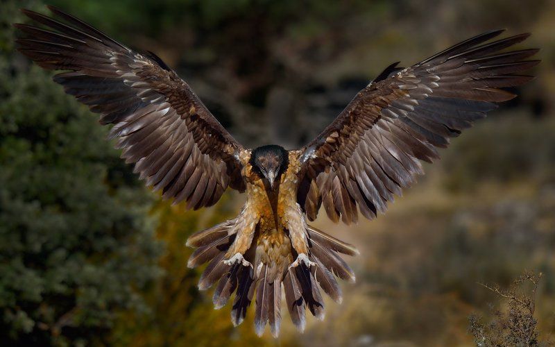 во всей красе фото превью