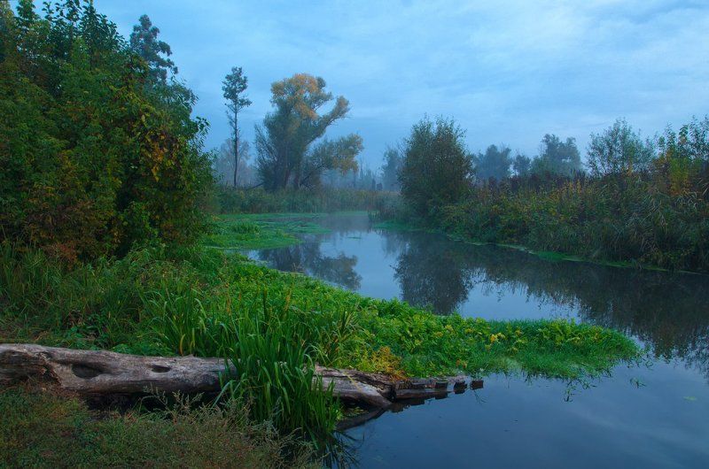 Хмурое утро фото превью
