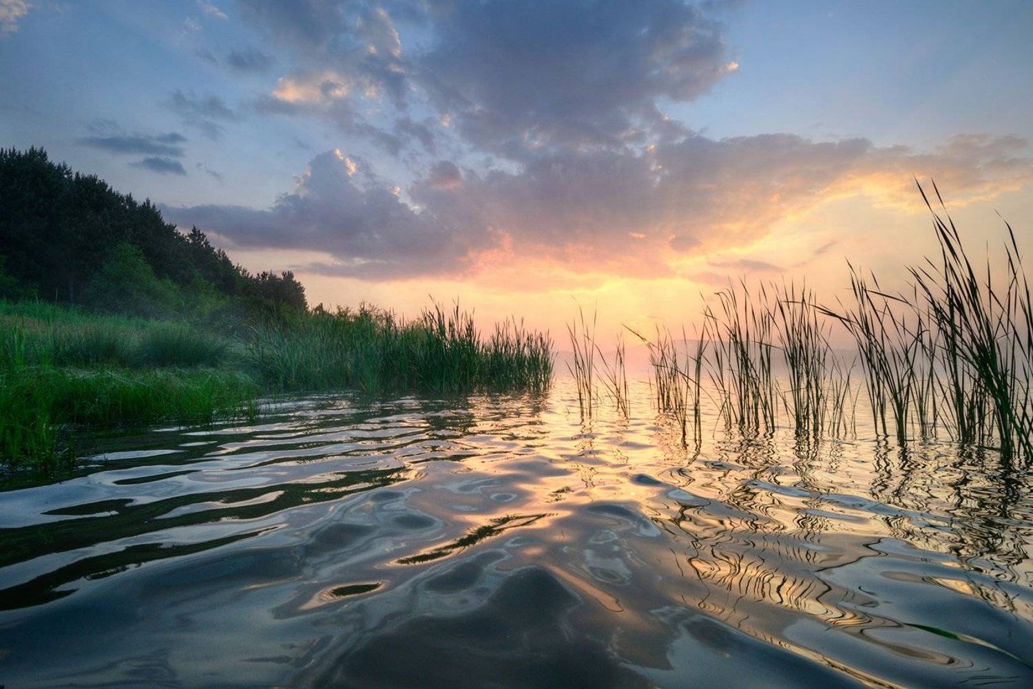 , Румен Паисиев