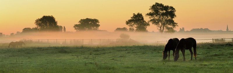 Morning in Handzame. фото превью