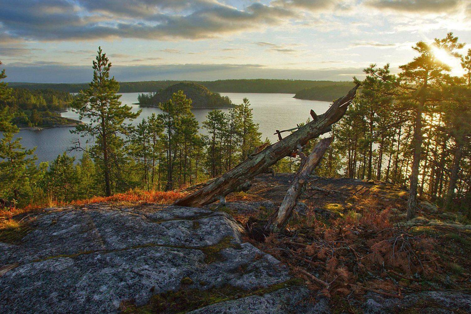 , Петр Косых