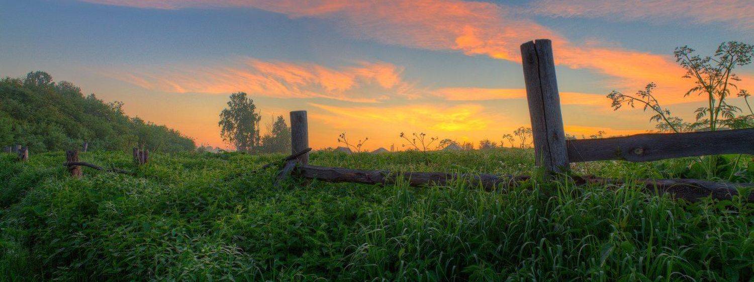 забор, лето, небо, панорама, природа, рассвет, свет, трава, утро, Артём Колупахин