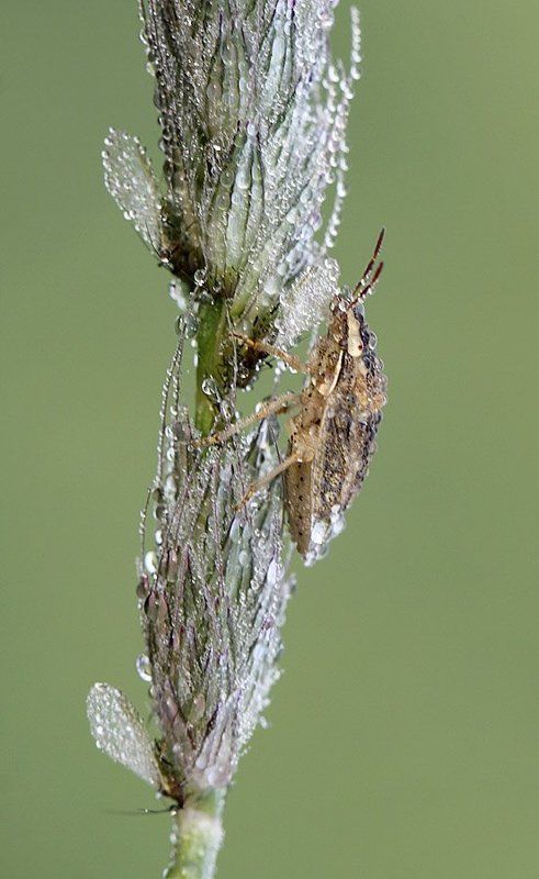 Холодное утро фото превью