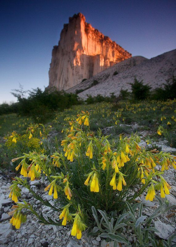 Рассвет у подножия скалы Ак-Кая. фото превью