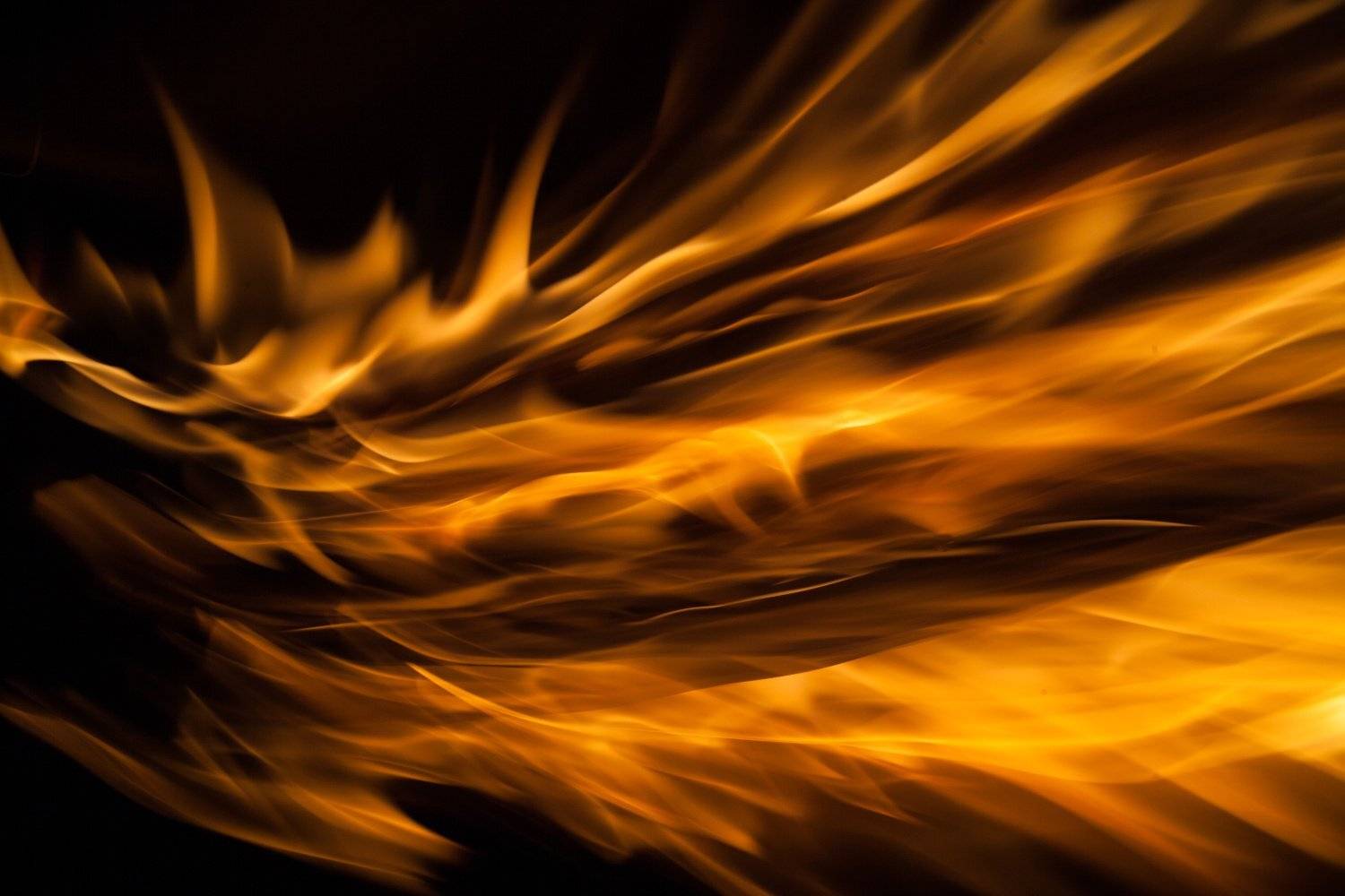 , Алексей Пирязев