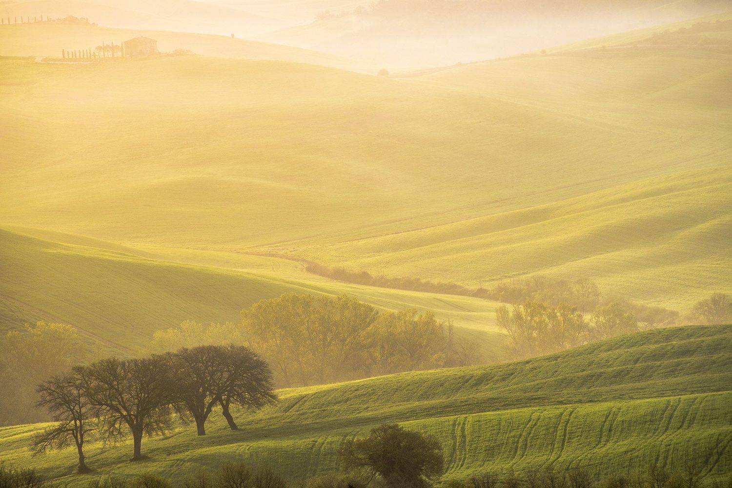 пейзаж, италия, тоскана, холмы, утро, рассвет, туман, природа, долина, Дмитрий Старостенков