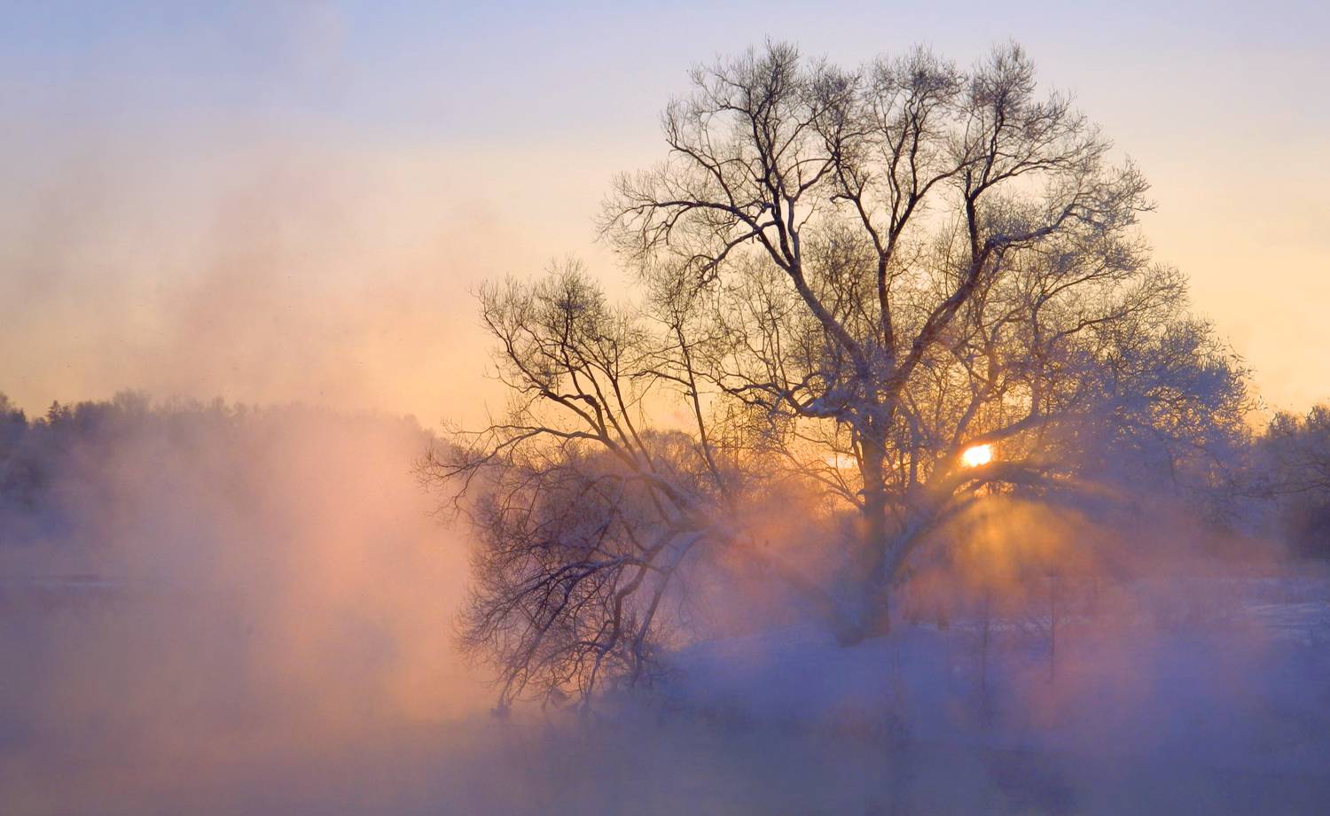 , Заболотская Ольга