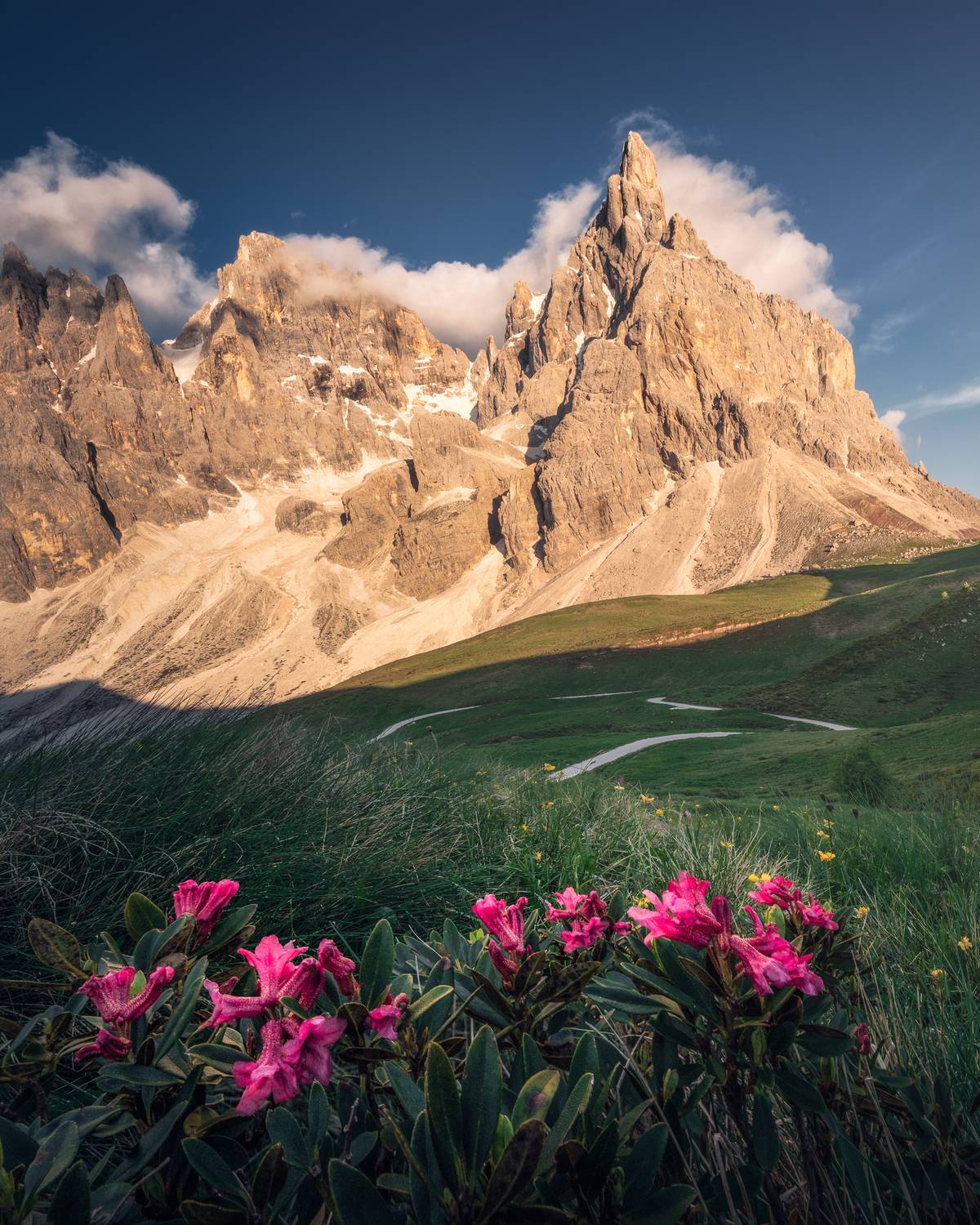 , Вукотић Никола