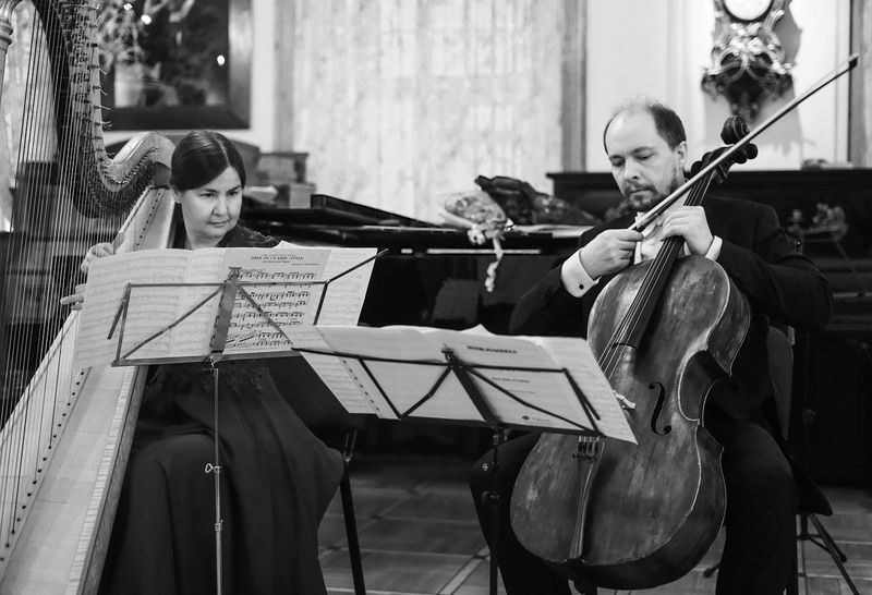 Дуэт фото превью