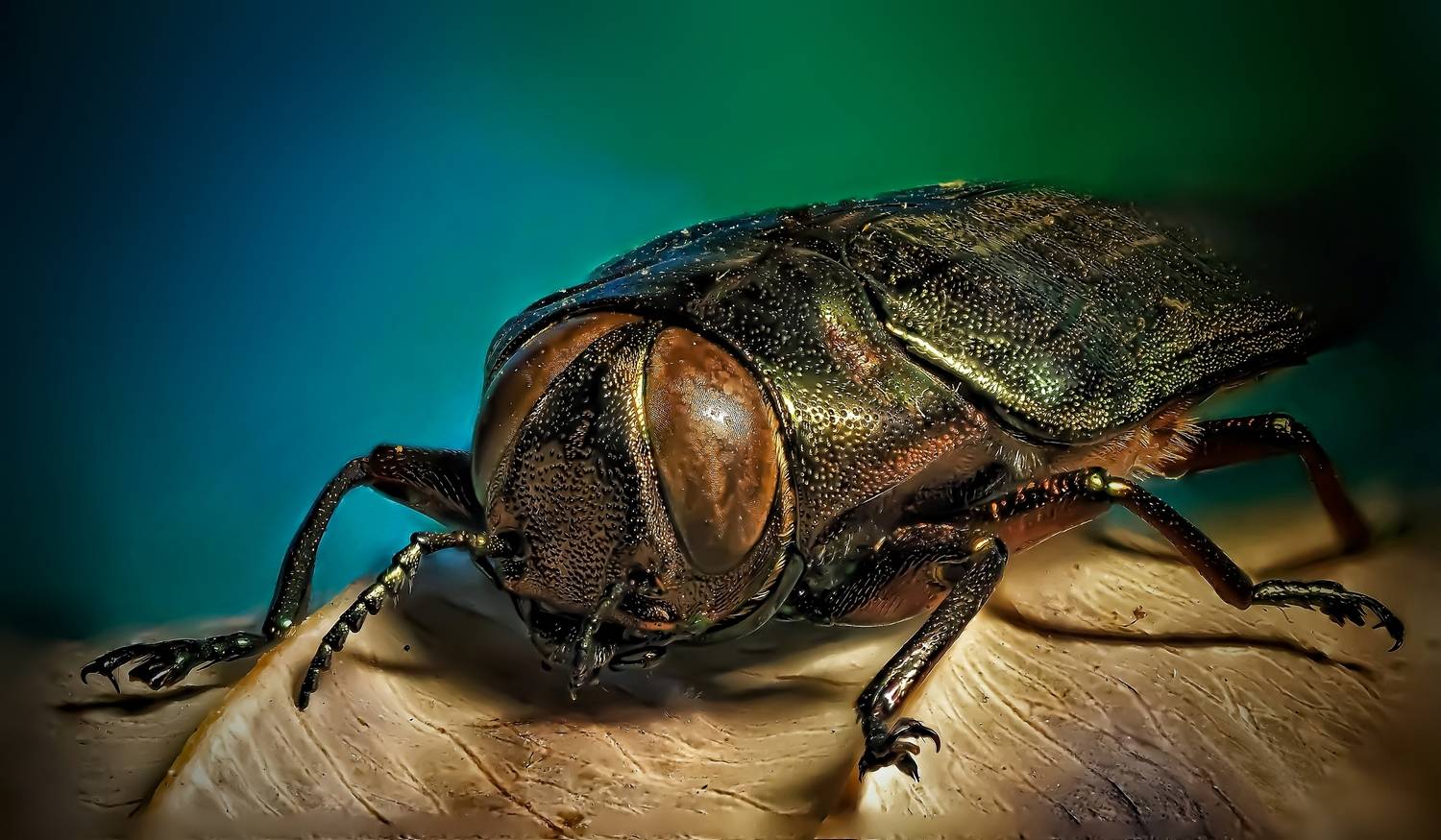 , Савчук Анатолий