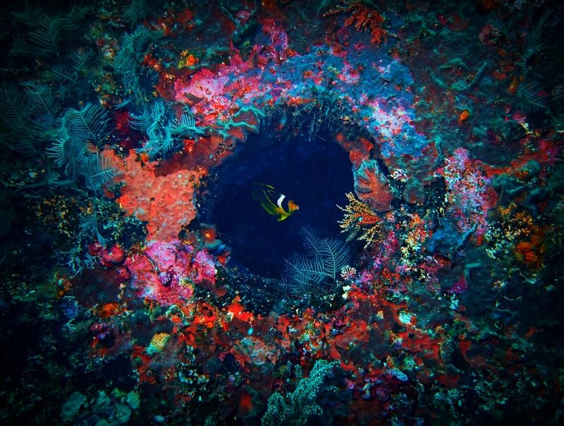 Иллюминатор затонувшего корабля фото превью