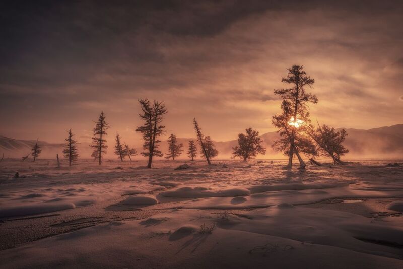 Рассвет в Курайской степи фото превью