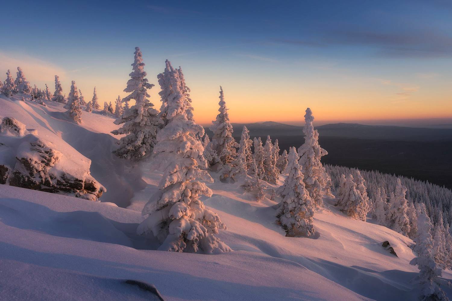 , Бирюкова Татьяна