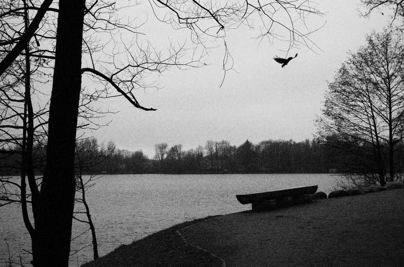 4/7 фото превью