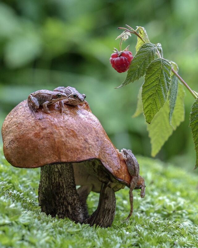 На троих) фото превью