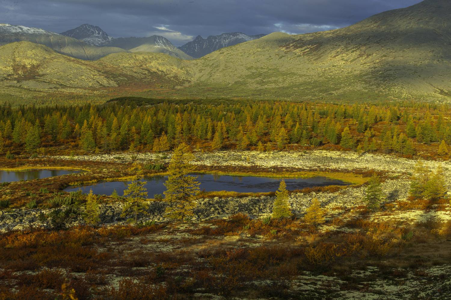 колыма,озеро Джека Лондона, Георгий Башкин
